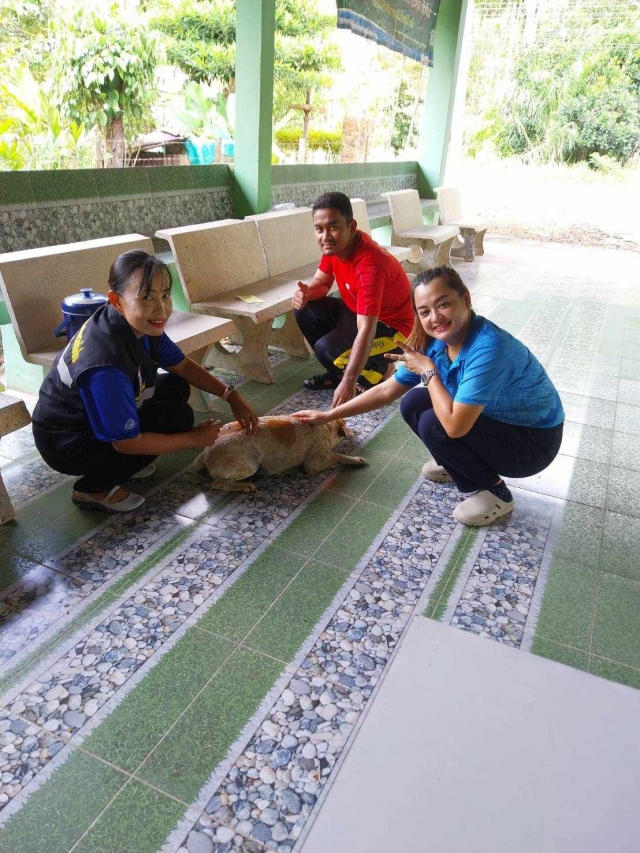 โครงการฉีดวัคซีนป้องกันและควบคุมโรคพิษสุนัขบ้า ประจำปีงบประมาณ ๒๕๖๗